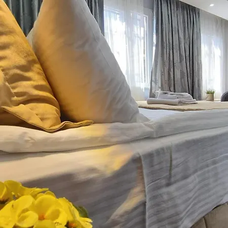 Happy Vatan Provincia di Istanbul